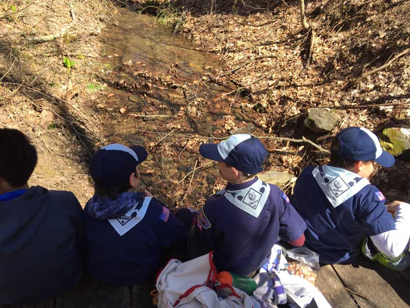 Cub Scouts in the Outdoors