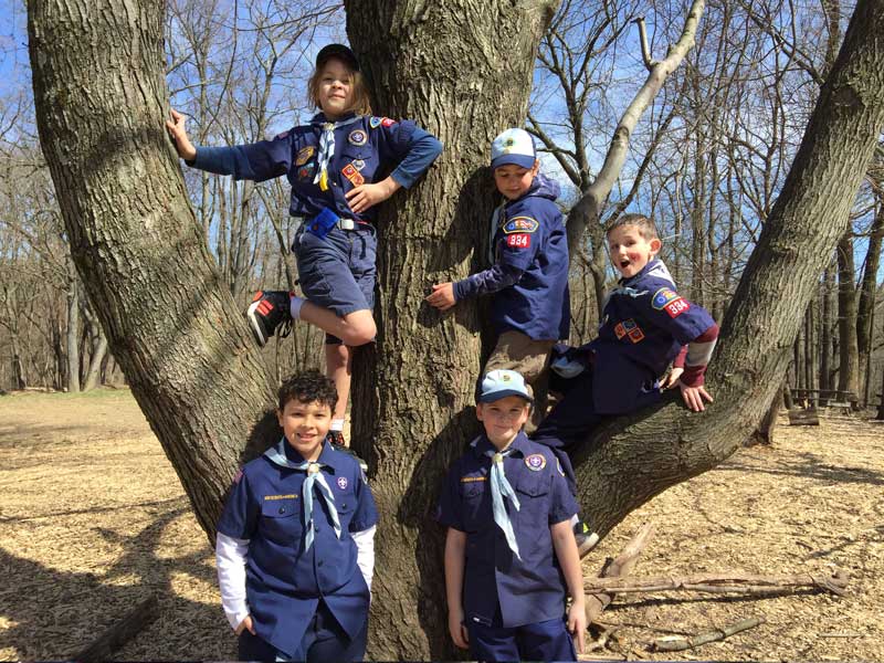 Cub Scouts testing their limits.