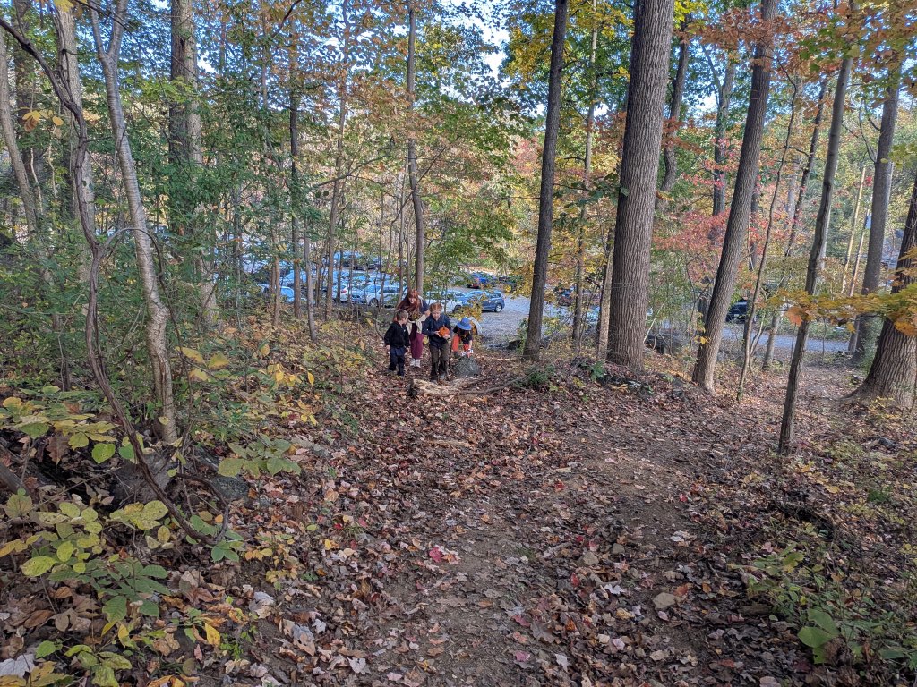 Hiking back to the campsite. - Scouting 334 Hiking back to the campsite.