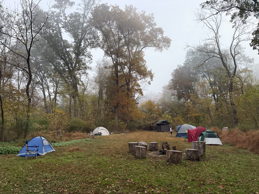A cold misty Saturday morning, waiting for the Scouts and Sun to get up and get moving.