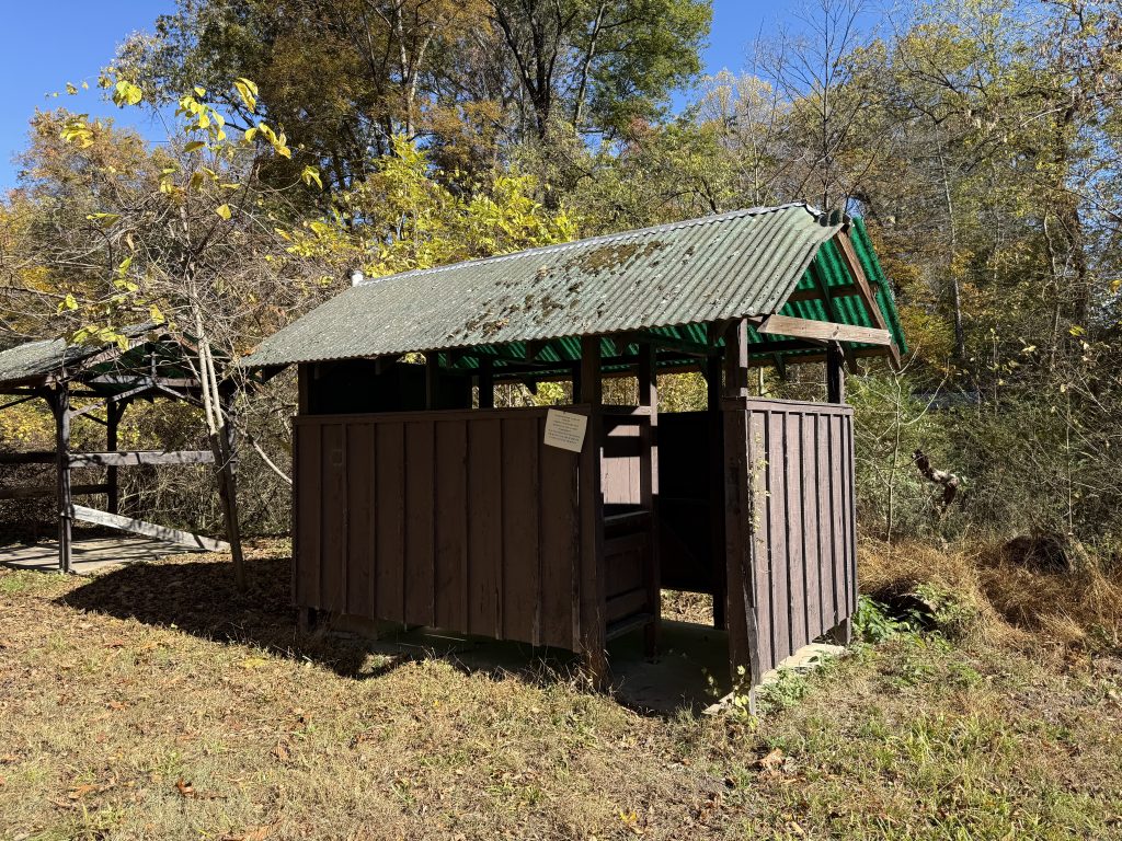 Dave's Special Award