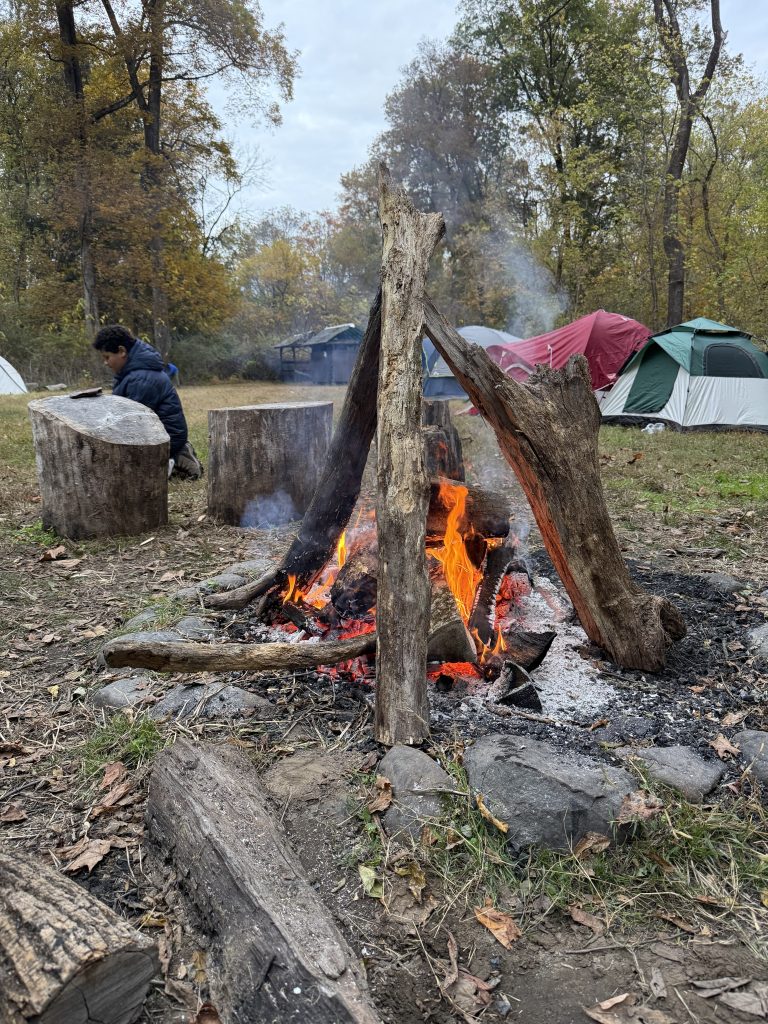 "Because it looks cool." was the reason these logs were stacked this way.