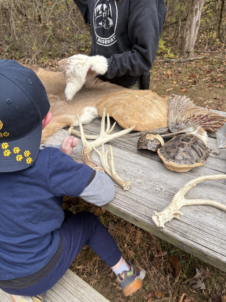 Nature Station! - Scouting 334 Nature Station!