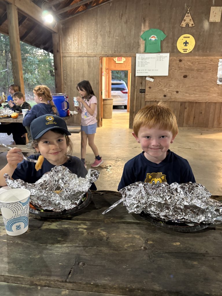 Silver Turtles! - Scouting 334 Silver Turtles!