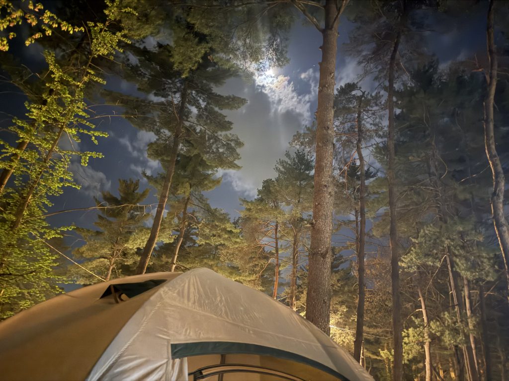 IMG_1576 copy - Scouting 334